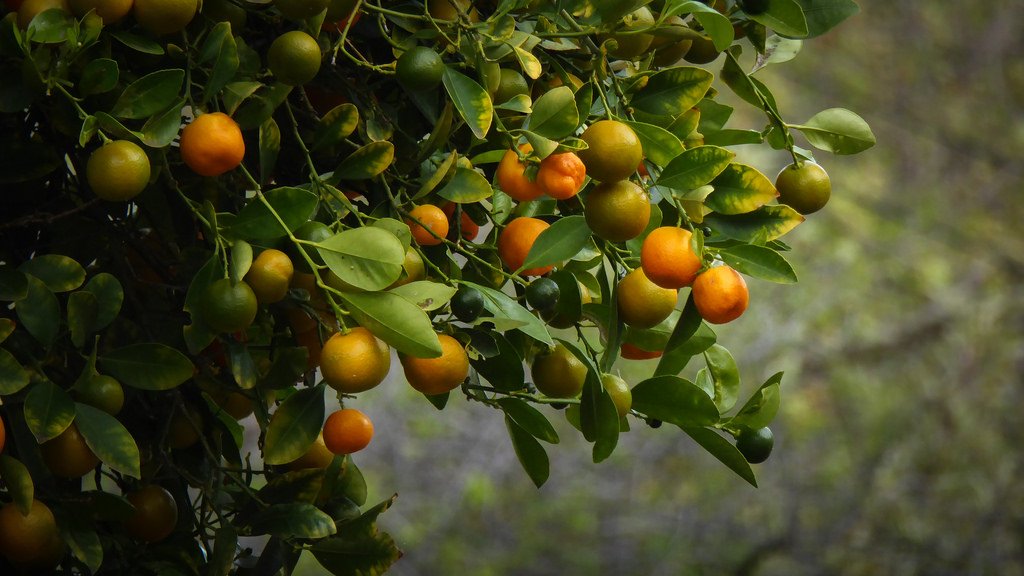 太阳成集团tyc151cc(中国)有限公司